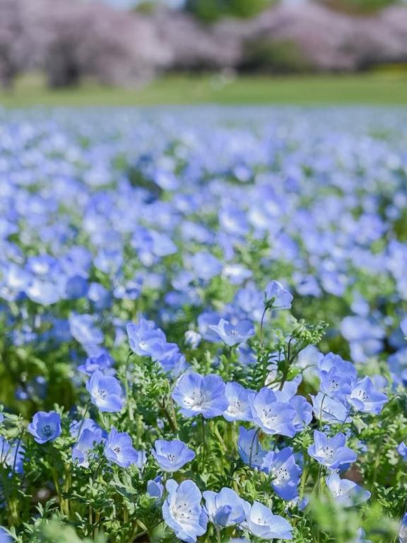 ??4月9日(木)お休みの呟き??*°