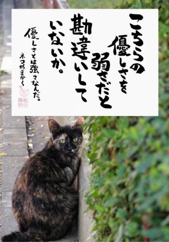 ??5月29日(金)お仕事???????