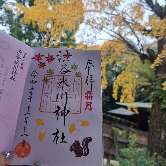 ?11月12日(水) お仕事????