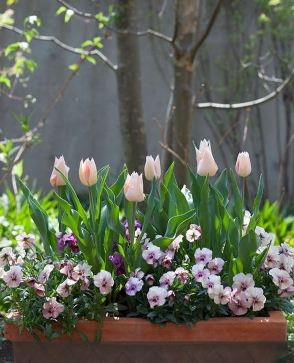 ???4月3日(金)お仕事??????