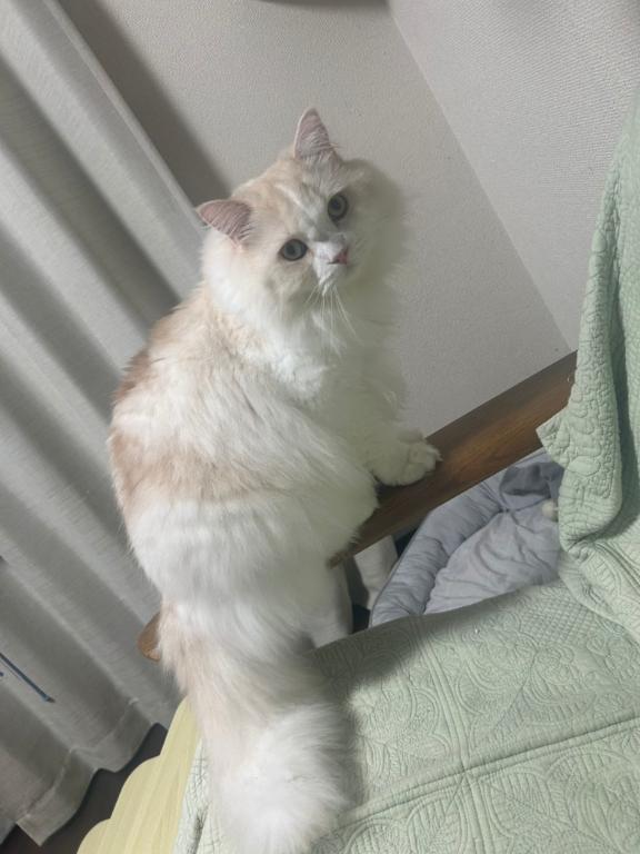 1枚目