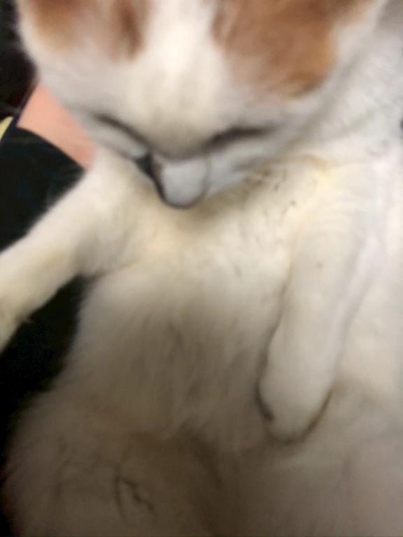 完熟バナナ立川店?れいな