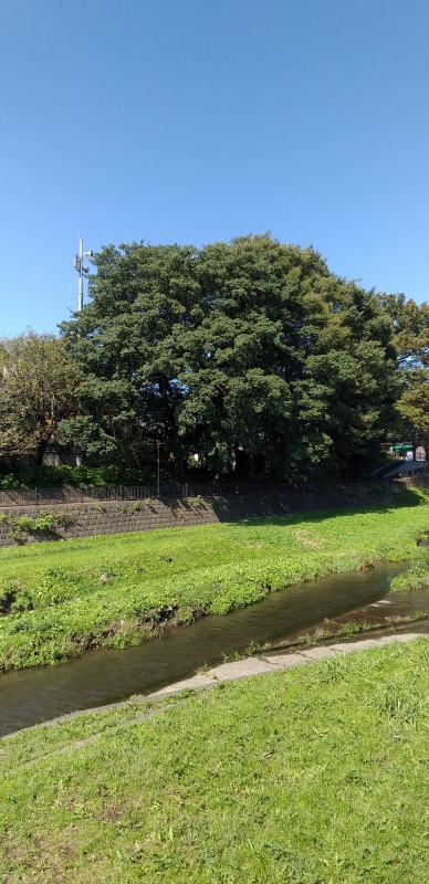 完熟ばなな立川店あいこです♪