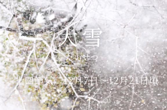 ?12月7日(日)?大雪?お仕事????