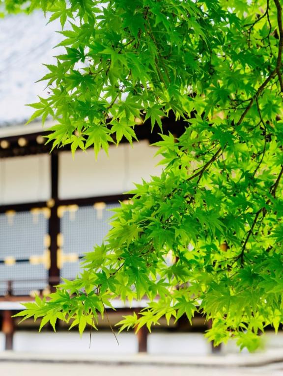 ????5月24日(日)お仕事???????