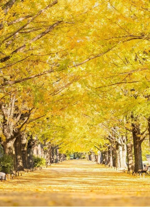 ?10月27日(月)お仕事????