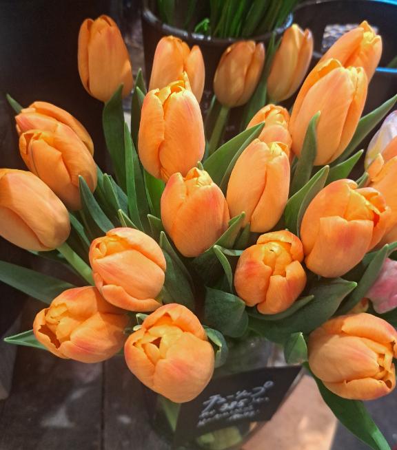 ?1月16日(金)お仕事????