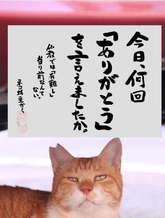 ???4月8日(水)お仕事??????