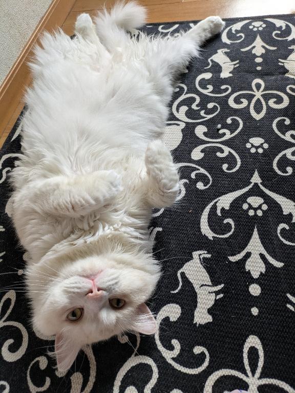 完熟バナナ立川店?れいな