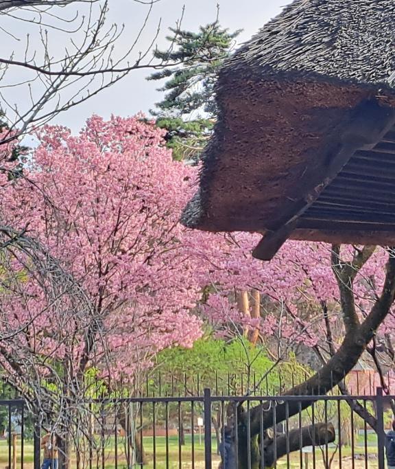 ??3月28日(土)お仕事?????