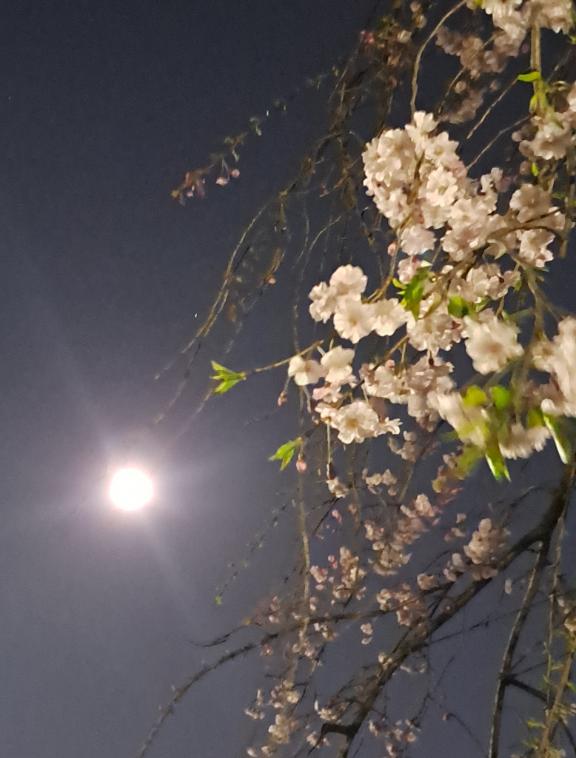 ??今日？昨日のお礼???*°