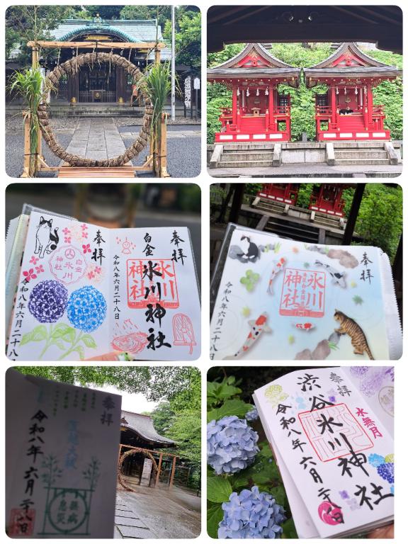 ???夏越の大祓???